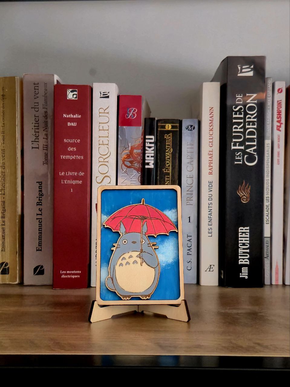 Carte en bois Totoro, le cadeau parfait pour une Bibliothéque et fan du Studio Ghibli, création artisanal en bois fait main.
